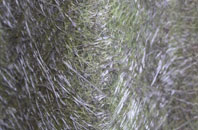 Gartymore fibreglass roof work